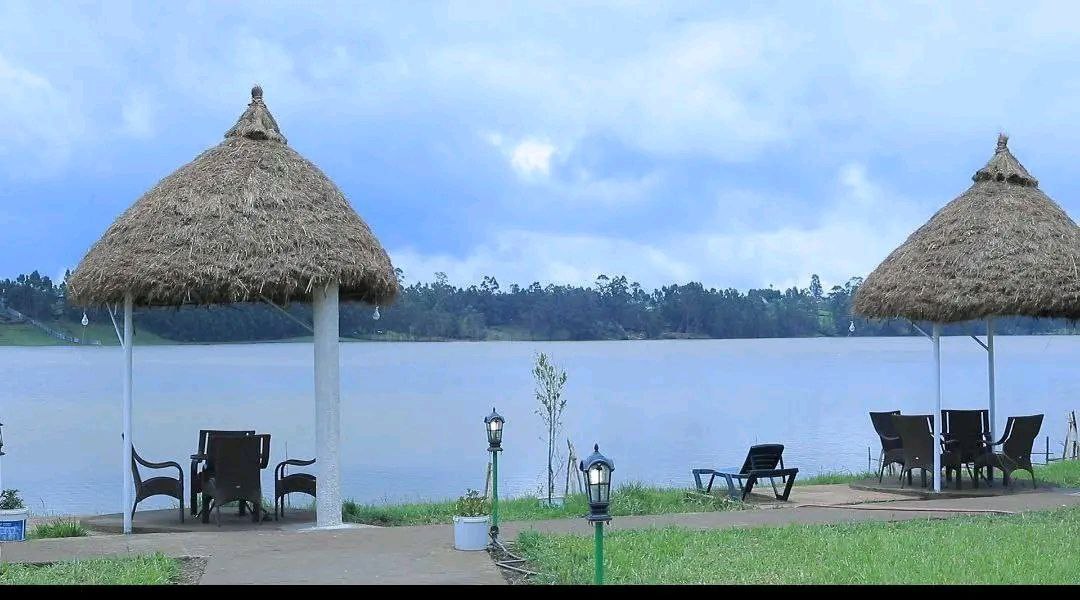 photo_2025-01-16_10-00-37