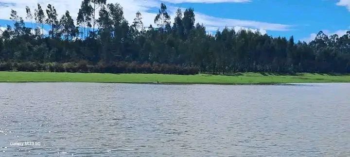 photo_2025-01-16_10-00-41 (2)