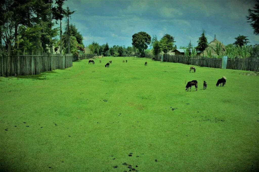 photo_2025-01-16_19-07-01