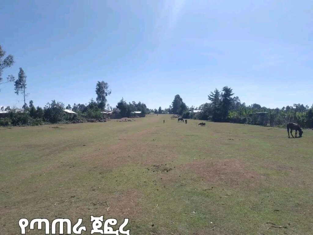 photo_2025-01-16_19-07-08