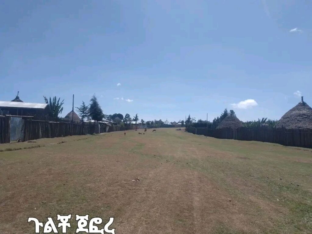 photo_2025-01-16_19-07-12 (2)