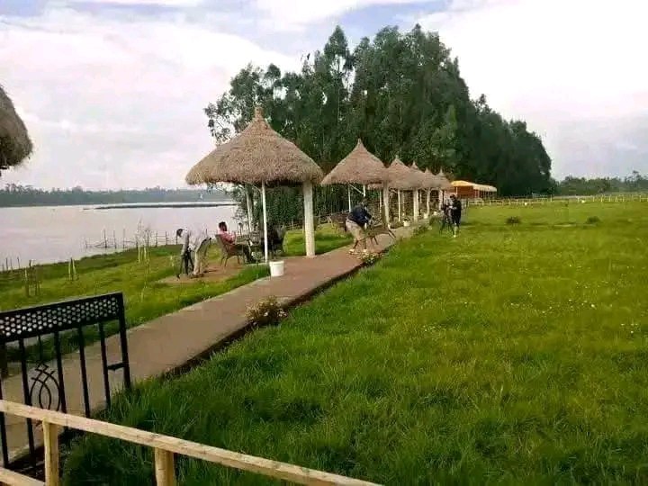 photo_2025-01-16_19-45-27