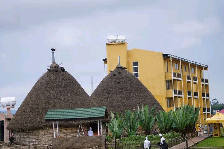 photo_2025-01-16_19-45-37