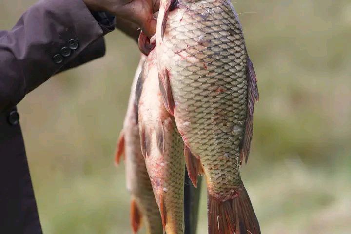 photo_2025-01-16_19-45-45