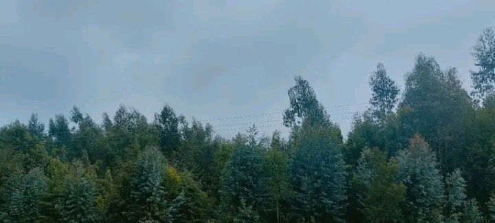 photo_2025-01-17_02-09-08 (2)