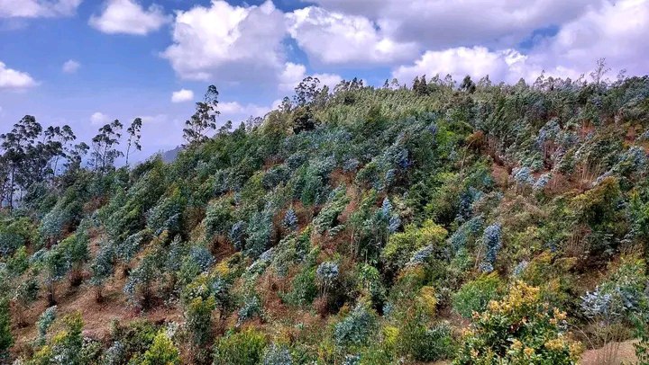 photo_2025-01-17_02-09-08