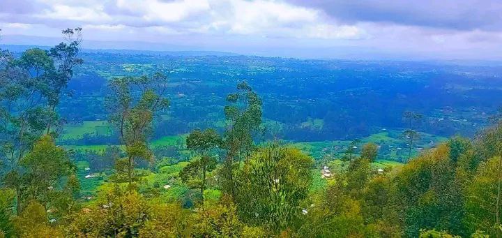 photo_2025-01-17_02-09-09