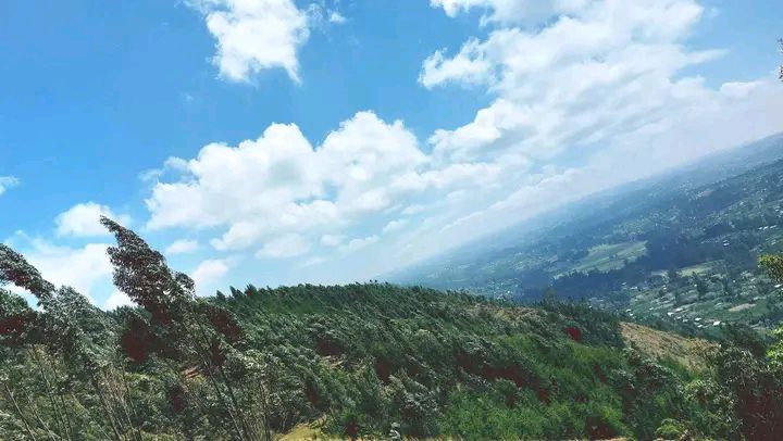 photo_2025-01-17_02-09-11 (2)