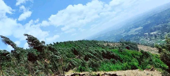 photo_2025-01-17_02-09-11 (3)