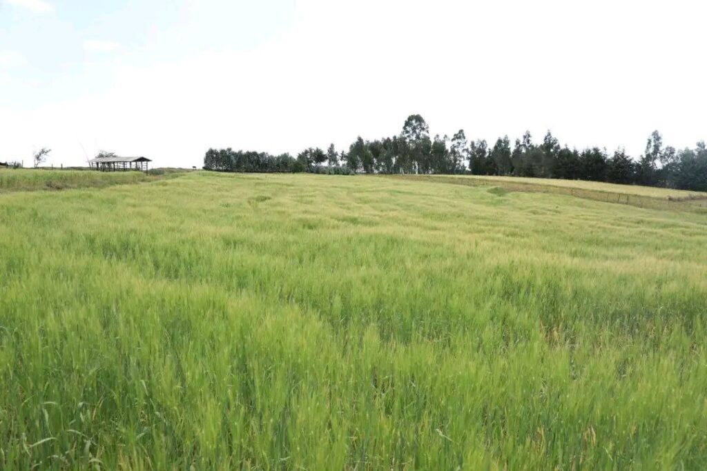 photo_2025-03-20_22-04-23