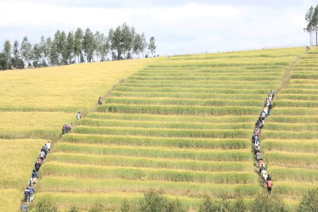 photo_2025-03-20_22-04-29