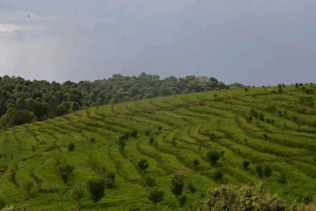 photo_2025-03-20_22-04-29 (3)