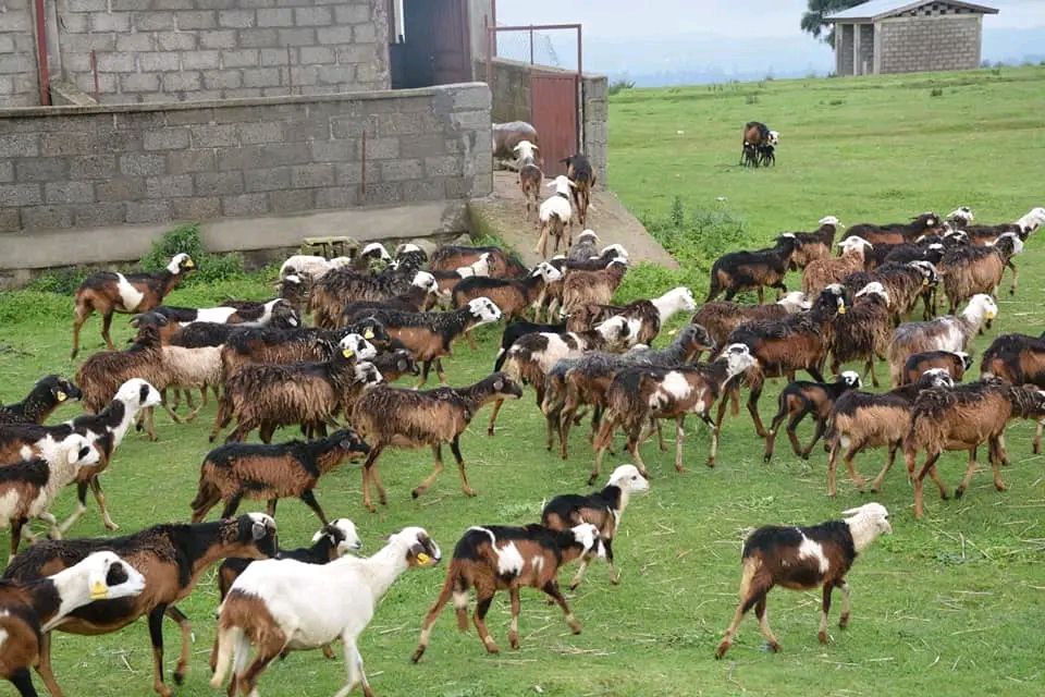 photo_2025-03-20_22-06-23 (2)